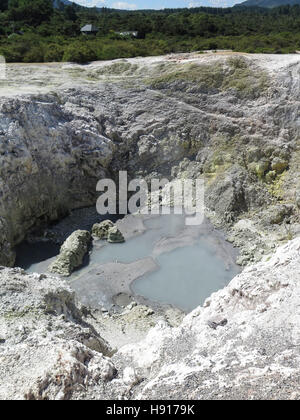 Waiotapu Thermal Park in Rotorua, Nordinsel, Neuseeland Stockfoto