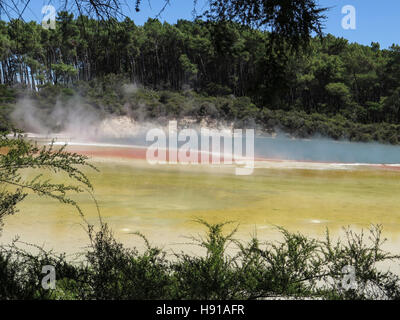 Palette des Künstlers an Waiotapu Thermal Park, Rotorua, Nordinsel, Neuseeland Stockfoto