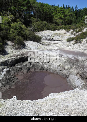 Devils Ink Pots im Waiotapu Thermal Park Rotorua, Nordinsel, Neuseeland Stockfoto