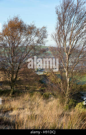 Herbstmorgen auf dem Hügel über dem Dorf Charlesworth in der Nähe von Glossop, Derbyshire, England. Stockfoto