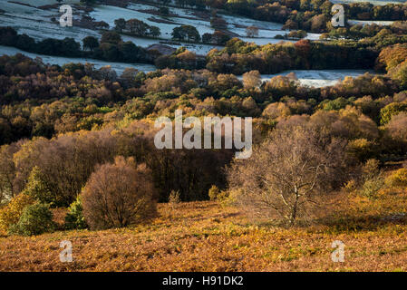 Frostiger Morgen in der englischen Landschaft in der Nähe von Glossop in Derbyshire. Stockfoto