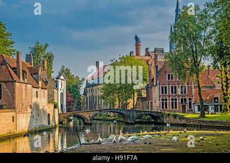 Schwäne am Minnewater See und Begijnhof Brügge Belgien Stockfoto