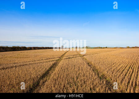 Textur und Muster mit kreuzen sich die Linien in einem herbstlichen Stoppelfeld mit Weißdorn-Hecken auf die Yorkshire Wolds. Stockfoto