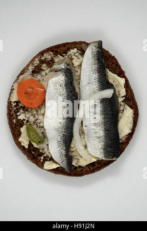 in Scheiben geschnitten Hering auf Roggenbrot, weißer Hintergrund Stockfoto