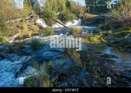 Closeup Aufnahme eines Teils der Tumwater fällt mit Büschen hängen über dem Wasser. Stockfoto