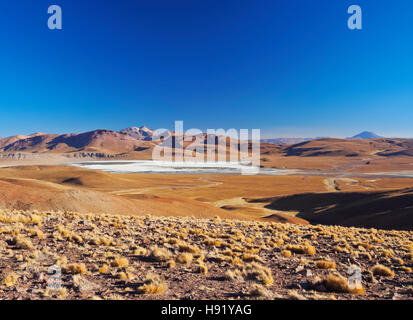 Bolivien, Potosi Department, Sur Lipez Provinz, Blick Richtung Laguna Morejon und Vulkan Uturuncu. Stockfoto
