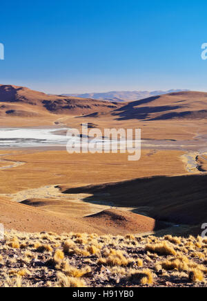 Bolivien, Potosi Department, Sur Lipez Provinz, Blick Richtung Laguna Morejon. Stockfoto