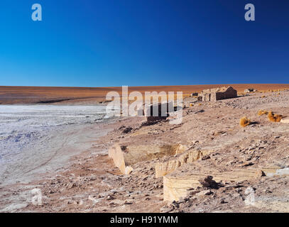 Bolivien Potosi Departmant Sur Lipez Provinz Eduardo Avaroa Anden Fauna National Reserve Landschaft des Salar de Chalviri. Stockfoto