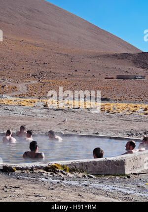 Bolivien, Potosi Departmant Sur Lipez Provinz Eduardo Avaroa Anden Fauna Nationalreservat, Blick auf die heißen Quellen. Stockfoto