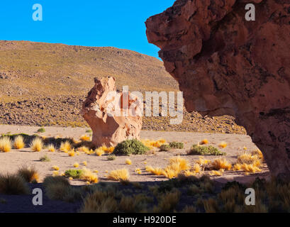 Bolivien, Potosi Departmant, Nor Lipez Provinz Landschaft der Valle de Las Rocas (Tal). Stockfoto