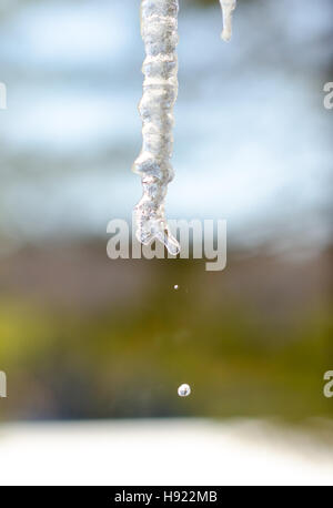 Abstrakte Eiszapfen funkeln, in milden Wintersonne langsam schmelzen.  Von einer Dachkante niedrig hängen. Stockfoto