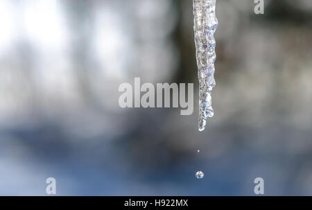 Abstrakte Eiszapfen funkeln, in milden Wintersonne langsam schmelzen.  Von einer Dachkante niedrig hängen. Stockfoto