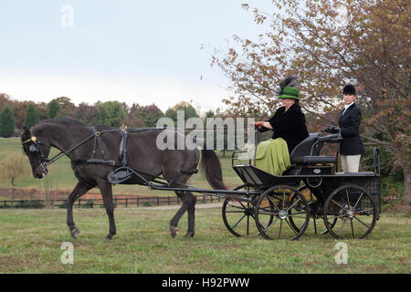 Frau und Assistentin auf einer Fahrt mit Morgan Stute mit Kutsche auf dem Land Stockfoto