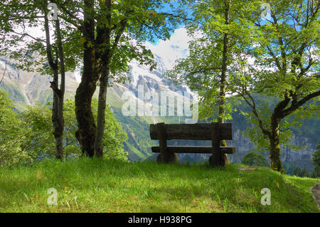 Bank mit einer herrlichen Aussicht in einem kleinen Park der Schweizer Alpen in der Nähe von Mürren und Grindlewald. Stockfoto