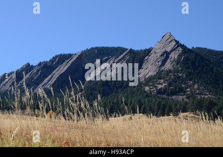 Gräser vor Green Mountain und Flatirons, Boulder, CO Stockfoto