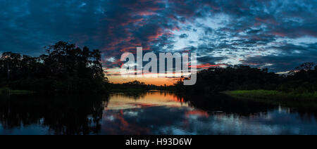 Panorama von bunten Wolken bei Sonnenuntergang in der Amazonen. Yasuni-Nationalpark in Ecuador, Südamerika. Stockfoto