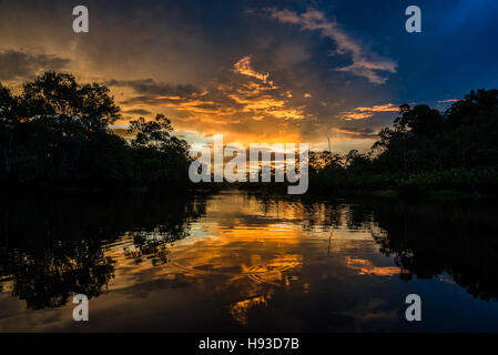 Bunte Wolken bei Sonnenuntergang in der Amazonen. Yasuni-Nationalpark in Ecuador, Südamerika. Stockfoto