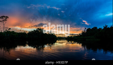 Bunte Wolken bei Sonnenuntergang in der Amazonen. Yasuni-Nationalpark in Ecuador, Südamerika. Stockfoto