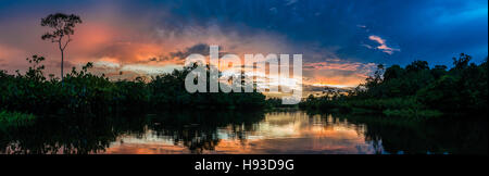 Panorama von bunten Wolken bei Sonnenuntergang in der Amazonen. Yasuni-Nationalpark in Ecuador, Südamerika. Stockfoto