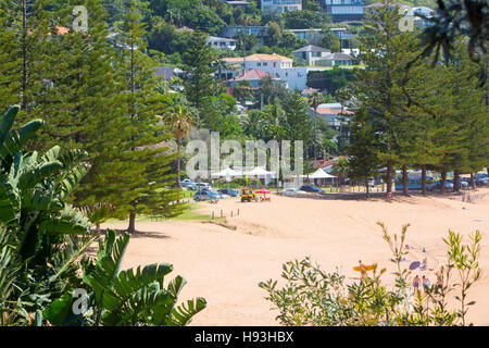 Wal-Strand, einem von Sydneys Nordstrände in der Sommerzeit, new South Wales, Australien Stockfoto