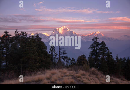 Zauberhaften Blick auf die Gipfel der Dhaulagiri (8167 m) bei Sonnenaufgang. Nepal, Himalaya. Stockfoto