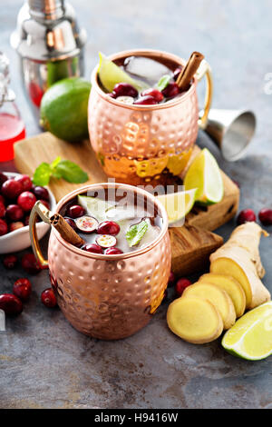 Moscow Mule mit Ingwer und Cranberry cocktail Stockfoto