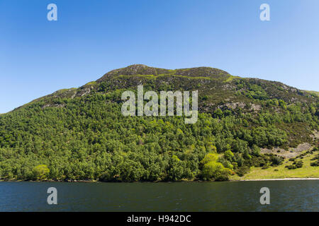 Birk fiel mit Blick auf Ullswater, Cumbria im Norden östlich von englischen Lake District. Zeigen Sie auf der Suche nach Südosten aus dem See an. Stockfoto