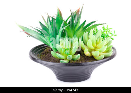 Künstliche Pflanzen im Topf isoliert auf weißem Hintergrund. Stockfoto