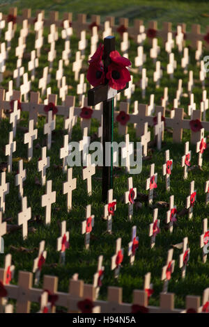 City of Edinburgh, Schottland. Anzeige der Gedenktag Kreuze und Mohn am Princes Street Gardens. Stockfoto