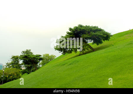 Olympia-Park im Sommer in Südkorea Stockfoto