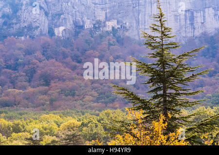 Grotte et Forêt Domanial En Automne St. Baume-Var-Frankreich Stockfoto