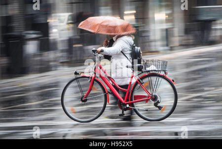 Ein Mann, schieben ihr Fahrrad über eine Straße bei starkem Regen in Frankfurt/Main, Deutschland, 18. November 2016. Foto: FRANK RUMPENHORST/dpa Stockfoto