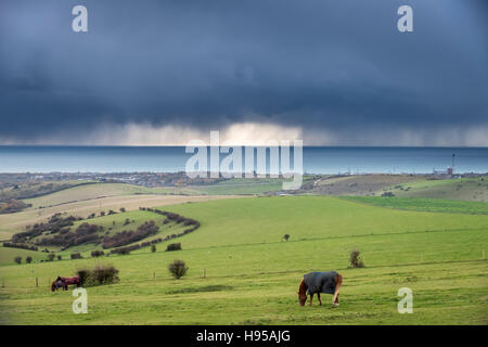 Brighton, UK. 19. November 2016. Ein Sturm den englischen Kanal in der Nähe von Shoreham überrollen heute Credit: Andrew Hasson/Alamy Live News Stockfoto