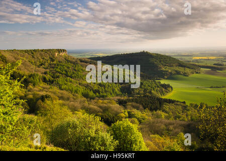 Landschaftlich schöne lange hoch Blick von Sutton Bank Roulston Scar, Haube Hill & grünen, flachen Ackerland Landschaft - North Yorkshire, England, UK. Stockfoto