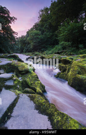 Bei Sonnenuntergang durchfließt die Flusses Wharfe The Strid (eine schmale, felsige Lücke) auf die Bolton Abbey Estate, Yorkshire Dales, GB. Stockfoto