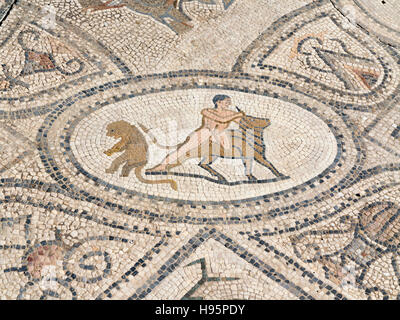 Mosaik-Details in der antiken Stadt Volubilis im Bereich Zerhoun-Massivs von Marokko Stockfoto