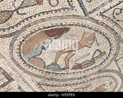 Mosaik-Details in der antiken Stadt Volubilis im Bereich Zerhoun-Massivs von Marokko Stockfoto