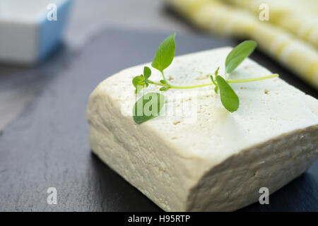 Großen Tofu Stück auf einem schwarzen Stein Tablett mit frischem Oregano und grünen Tuch im Hintergrund. Stockfoto