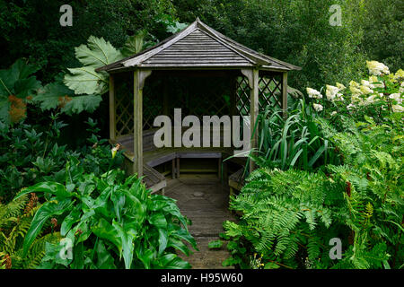 Holzpavillon grüne Blätter Laub Schatten schattigen Raum Farne gunnera Hortensia RM Floral Stockfoto