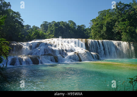 Wasserfälle von Agua Azul, Chiapas, Mexiko Stockfoto