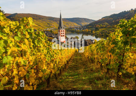 Weinberge und Kirche in Merl, Deutschland, im Herbst Stockfoto