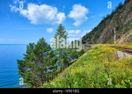 Nadelbäumen am Ufer des Sees in der Nähe von Circum-Baikal-Eisenbahn. Irkutsker Gebiet. Russland Stockfoto