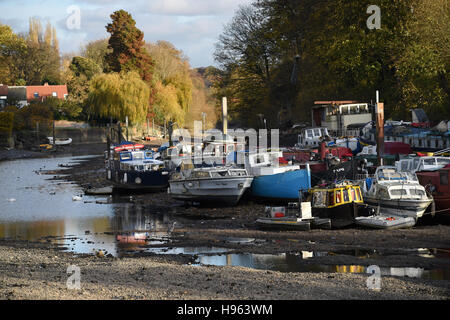 Boote vor Anker auf der Themse am Eel Pie Insel in Twickenham, West London, bei Ebbe, nachdem der Fluss für die jährlichen Verlosung-off-Periode trockengelegt wurde während dessen ein Flussbett Inspektions- und Wartungsarbeiten wesentlich auf Richmond Sperre, Wehre und Schleusen durchgeführt werden werden. Stockfoto