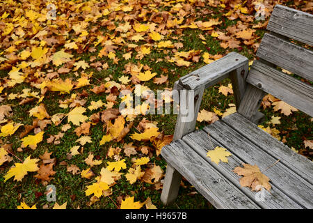 Herbst gelbe Blätter und alte Holzbank Stockfoto