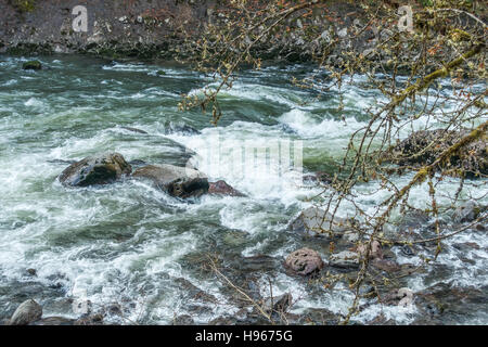 Ein Blick auf Stromschnellen am Snoqualmie River im US-Bundesstaat Washington. Stockfoto