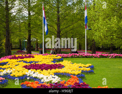Bunte Tulpen im Keukenhof Garten, Holland Stockfoto
