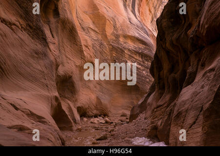 Schluchten in Willis Creek im Grand Staircase-Escalante National Park im Süden von Utah. Stockfoto