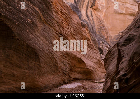 Schluchten in Willis Creek im Grand Staircase-Escalante National Park im Süden von Utah. Stockfoto