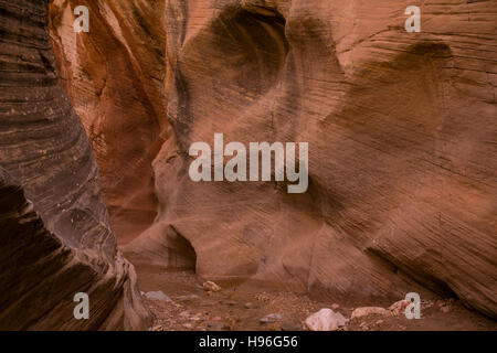 Schluchten in Willis Creek im Grand Staircase-Escalante National Park im Süden von Utah. Stockfoto