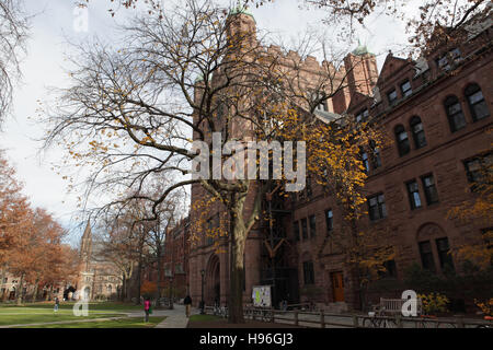 Gebäude auf dem alten Campus an der Yale University, New Haven, Connecticut Stockfoto